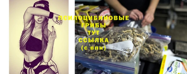амфетамин Елизово