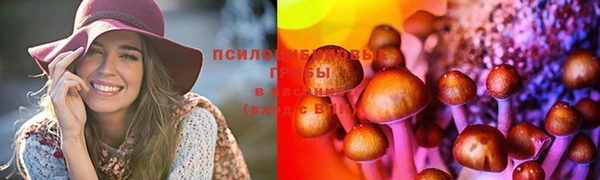 амфетамин Елизово