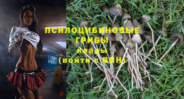 мдма Ельня