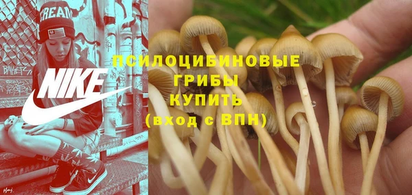 метадон Елабуга