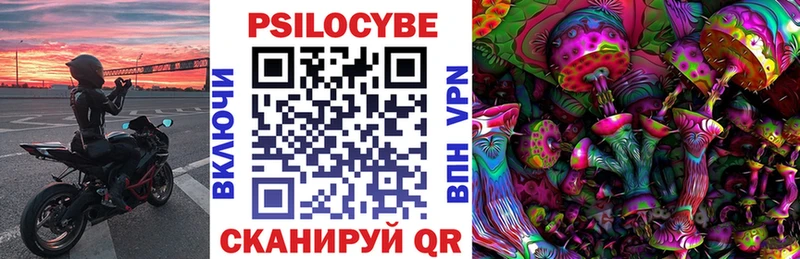 Купить  Куровское  Псилоцибиновые грибы мухоморы 
